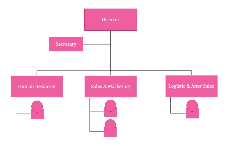 organization chart